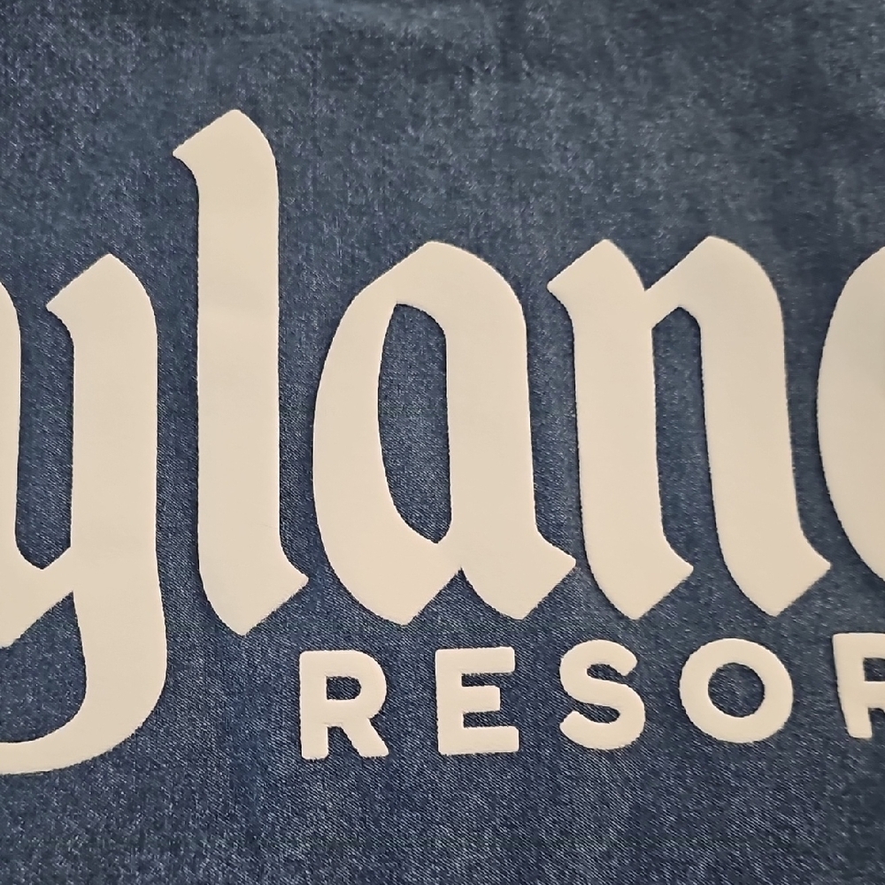 Disneyland Denim Hoodie Spirit Jersey - Picture 8 of 12